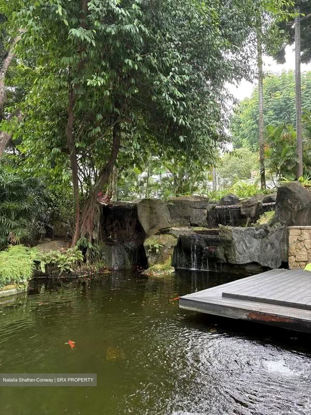Tanglin Park (D10), Condominium #614191971